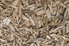 biomass boilers Penbryn